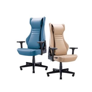 Ergonomic Chair and Gaming Massage Series